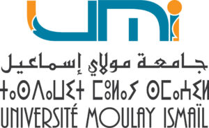 logo-UMI-Amazigh